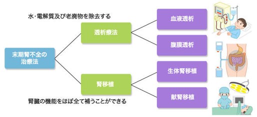 腎代替療法の指導 イメージ