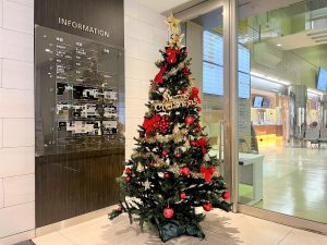 1階正面玄関にクリスマスツリーを設置しました！
